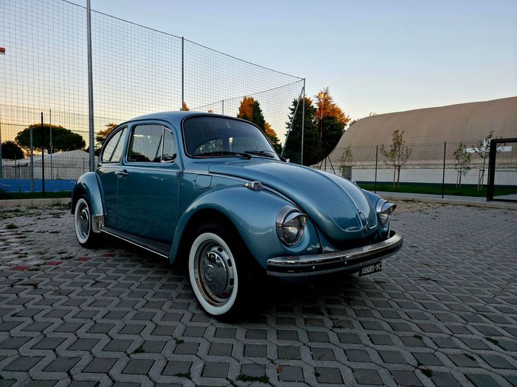 VOLKSWAGEN MAGGIOLONE